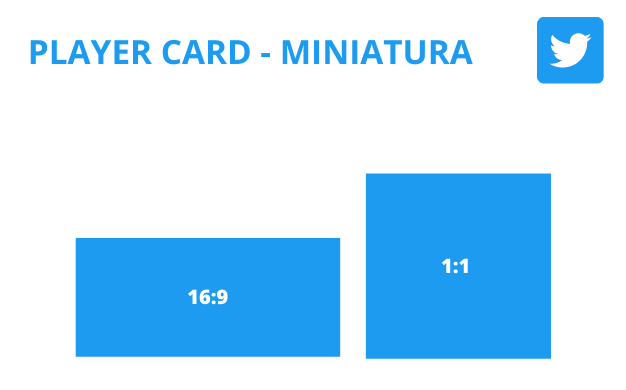 Twitter Player Card wymiary