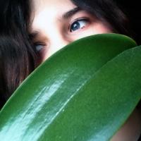 Awatar - enoughwiktoria