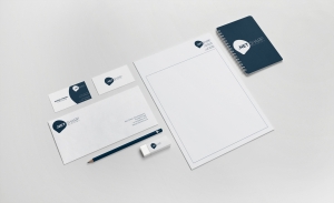 NetSharp Development branding