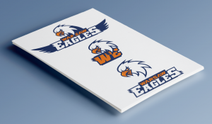 Warsaw Eagles logo redesign