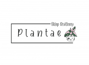Plantae sklep z kwiatami logo