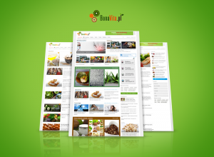 BonaVita.pl - portal informacyjny