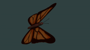 Motyl 