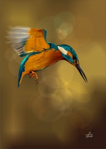 Zimorodek ( KingFisher)