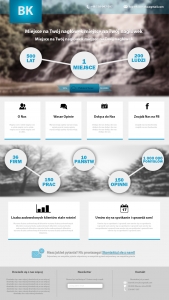 Strona internetowa 1