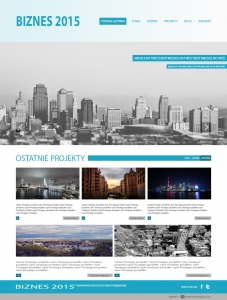 Strona internetowa biznes 2015