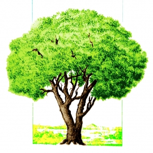 Tree - vector