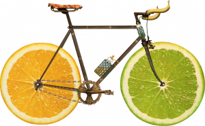 Owocowy rower, model orzech