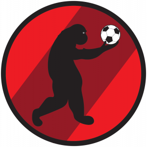 logo piłkarskie