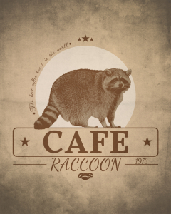 Cafe Raccoon