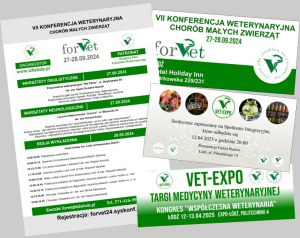 Identyfikacja graficzna na FOR-VET