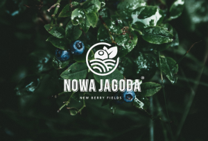 Logo Nowa Jagoda