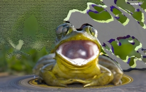 żabka