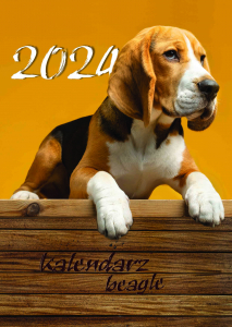 Beagle 2024