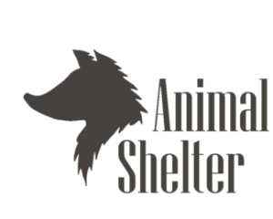 Animal Shelter